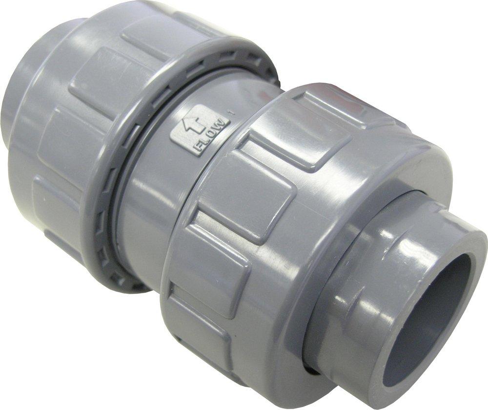 FNW&reg; NPT x Socket Weld CPVC True Union Ball Check Valve 