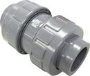 FNW&reg; CPVC NPT x Socket Weld Check Valve 