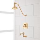 Single Handle Single Function Bathtub & Shower Faucet in Brushed Gold