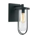 Capital Lighting Black 100W 1-Light Medium E-26 Incandescent Outdoor Wall Sconce 
