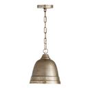 100W 1-Light Medium E-26 Incandescent Pendant in Oxidized Nickel