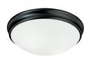 Capital Lighting Matte Black 12-1/2 in. 60W 2-Light Medium E-26 Incandescent Flush Mount Ceiling Fixture 