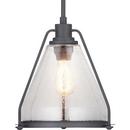 Progress Lighting Graphite 13 in. 60W 1-Light Medium E-26 Incandescent Pendant 