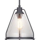 Progress Lighting Graphite 13 in. 60W 1-Light Medium E-26 Incandescent Pendant 