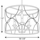 Progress Lighting Silver Ridge 18-1/8 in. 60W 3-Light Candelabra E-12 Incandescent Chandelier 