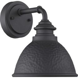 1-Light 100W Medium E-26 Incandescent Outdoor Wall Sconce in Black