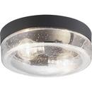 Progress Lighting Black 60W 2-Light Medium E-26 Incandescent Outdoor Ceiling Fixture 