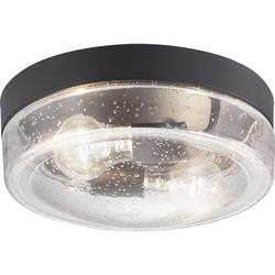 60W 2-Light Medium E-26 Incandescent Outdoor Ceiling Fixture in Black