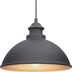 100W 1-Light Medium E-26 Incandescent Outdoor Pendant in Black