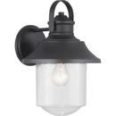 60W 1-Light Medium E-26 Incandescent Outdoor Wall Sconce in Black