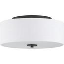 Progress Lighting Graphite 13 in. 60W 2-Light Medium E-26 Incandescent Flush Mount Ceiling Fixture 