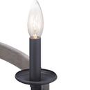 Progress Lighting Graphite 60W 9-Light Candelabra E-12 Incandescent Chandelier 