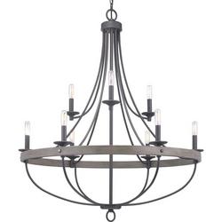 60W 9-Light Candelabra E-12 Incandescent Chandelier in Graphite
