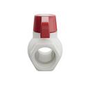 PROFLO&reg; Plastic Full Port Solvent Weld Ball Valve 