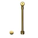 Brass Toe-Tap Drain in Brushed Gold
