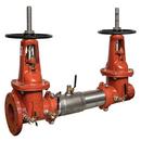 6 in. Stainless Steel Flanged x Grooved Backflow Preventer