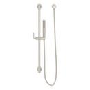Pfister Brushed Nickel Hand Shower with Slidebar 