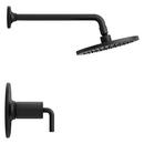 Pfister Matte Black Single Handle Single Function Shower Trim Only 