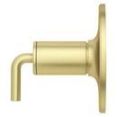Pfister Brushed Gold Single Handle Single Function Shower Faucet Trim Only 