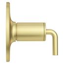 Pfister Brushed Gold Single Handle Single Function Shower Faucet Trim Only 