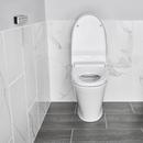 American Standard Alabaster White Elongated Closed Front with Cover Bidet 