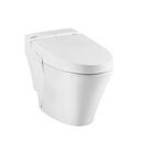 0.92 gpf/1.32 gpf Elongated Dual Flush One Piece Toilet in Alabaster White