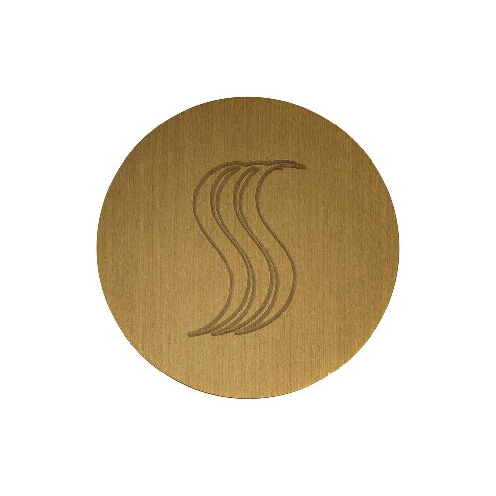 STEAMVECTION STEAM HEAD ROUND ANTIQUE BRASS 