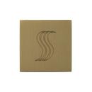 STEAMVECTION STEAM HEAD SQUARE SATIN BRASS 