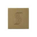 STEAMVECTION STEAM HEAD SQUARE SATIN BRASS