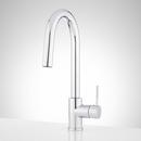 Signature Hardware Chrome Single Handle Pull Down Kitchen Faucet 
