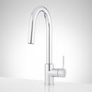 Signature Hardware Chrome Single Handle Pull Down Kitchen Faucet 