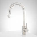 Signature Hardware Stainless Steel Single Handle Pull Down Kitchen Faucet 