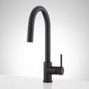 Signature Hardware Matte Black Single Handle Pull Down Kitchen Faucet 