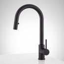 Signature Hardware Matte Black Single Handle Pull Down Kitchen Faucet 