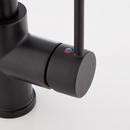 Signature Hardware Matte Black Single Handle Pull Down Kitchen Faucet 