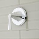 Signature Hardware Chrome Single Handle Bathtub & Shower Faucet (Trim Only) 