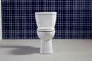 Niagara White 0.8 gpf Toilet Tank 