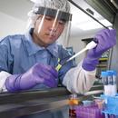 Kimberly Clark Purple XL Size Powder Free Nitrile Textured Fingertips Glove in Purple Case of 10 