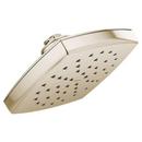 Moen Polished Nickel Single Function Full Showerhead 