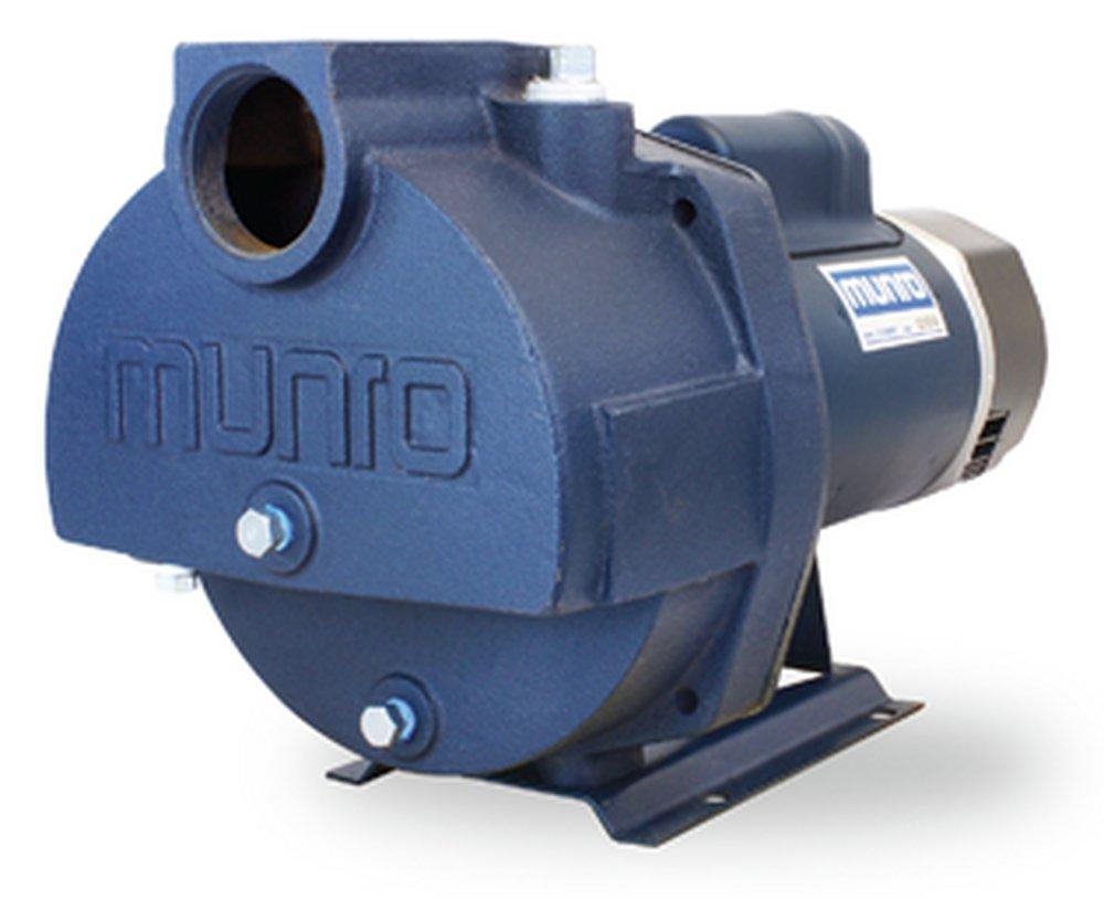 Munro 115 gpm 208/230/460V Cast Iron Centrifugal Pump 