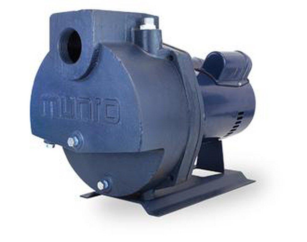 Munro 75 gpm 208/230V Cast Iron Centrifugal Pump 