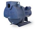 Munro 75 gpm 208/230V Cast Iron Centrifugal Pump 