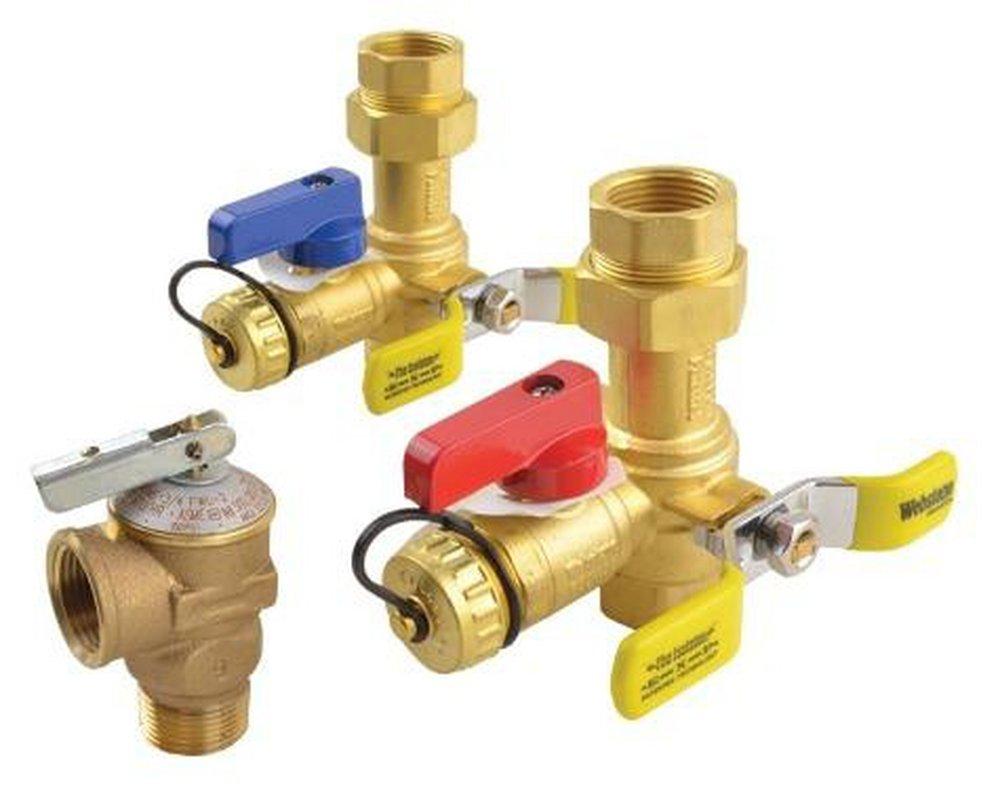 Rheem 3/4 x 3-3/4 in. NPT Isolation Valve Kit 