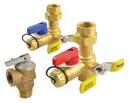 Rheem 3/4 x 3-3/4 in. NPT Isolation Valve Kit 