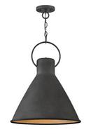 100W 1-Light Medium E-26 Pendant in Aged Zinc