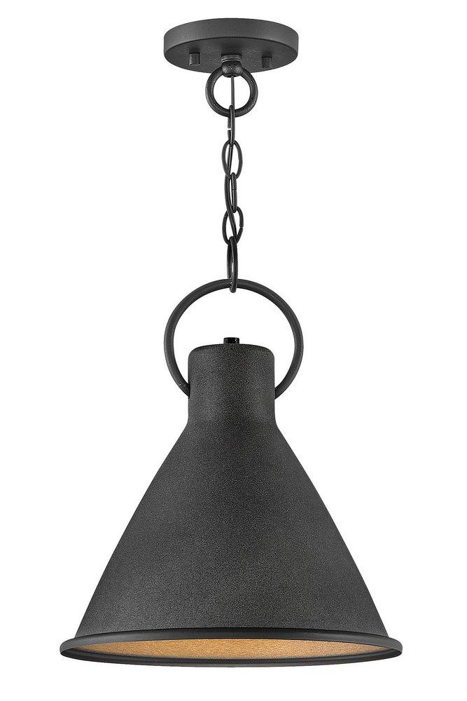 Hinkley Aged Zinc/Distressed Black 12 in. 100W 1-Light Pendant 