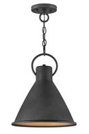 Hinkley Aged Zinc/Distressed Black 12 in. 100W 1-Light Pendant 