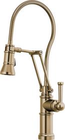 Single Handle Pull Out Kitchen Faucet in Luxe Gold