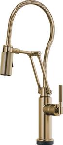 Brizo Luxe Gold Single Handle Pull Down Kitchen Faucet 