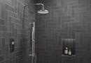 KOHLER Polished Chrome Dual Function Hand Shower (Shower Hose Sold Separately) 